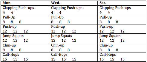 A basic body weight and pull up workout.