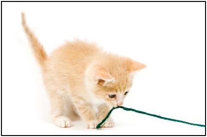 What workout motivation do you need to play with a string? Just do it!