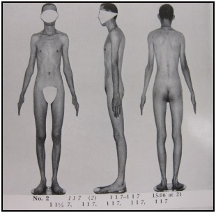 A somatotype photospread of a 1 1 7, from Atlas of Men.